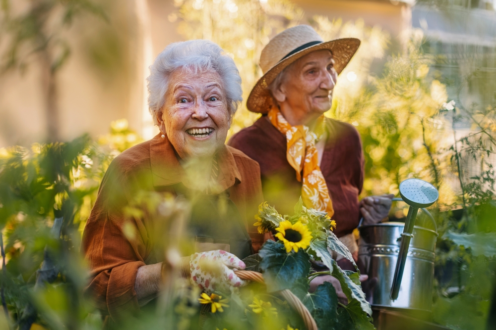 Portrait,Of,Senior,Friends,Taking,Care,Of,Vegetable,Plants,In