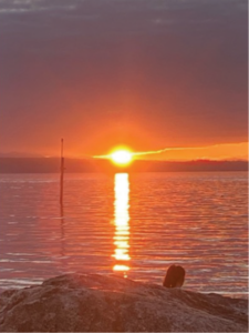 Sunset Edmonds Sonia