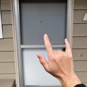 music box stored in safe