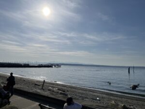 IMG 9685