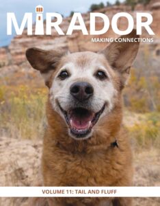 Mirador Magazine V11 Cover 