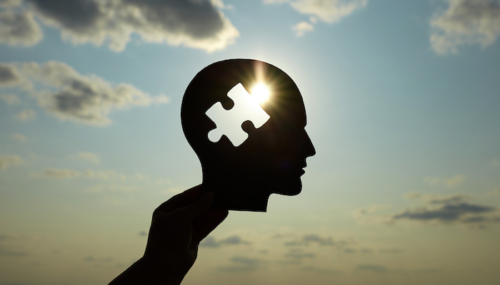 BrainSilhoutettePuzzle AdobeStock 611889352 700x400