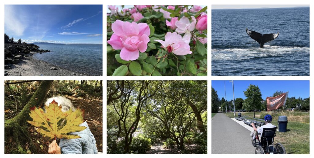 Nature notes