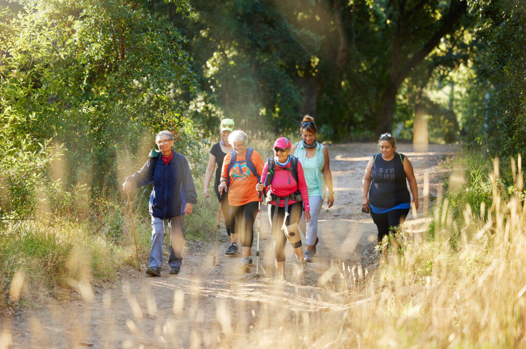 Physical Inactivity: A Modifiable Lifestyle Factor That Could Reduce Your Risk of Dementia